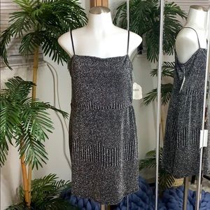 Black and Silver Mini